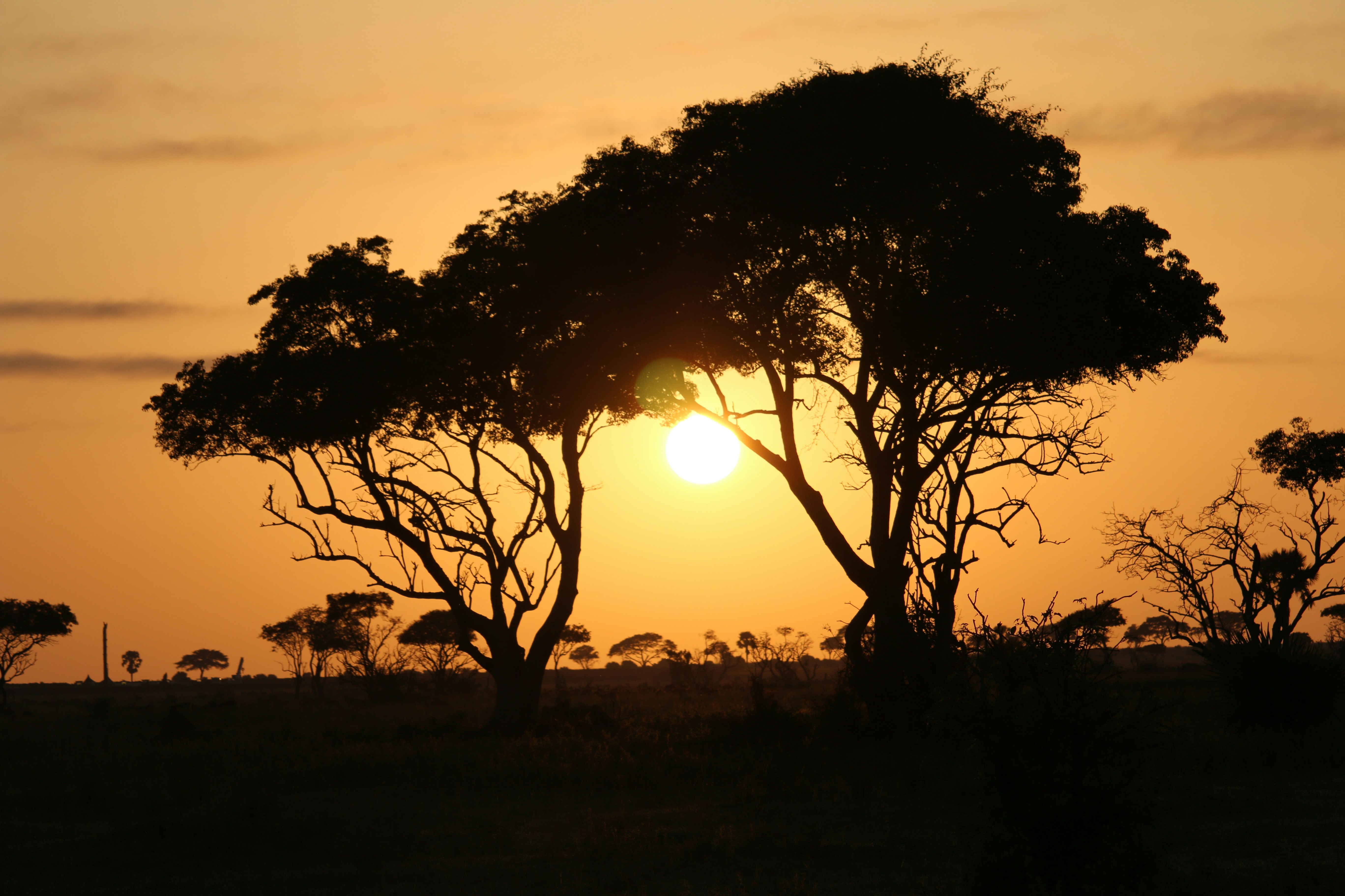 Murchison Falls National Park, photo 5