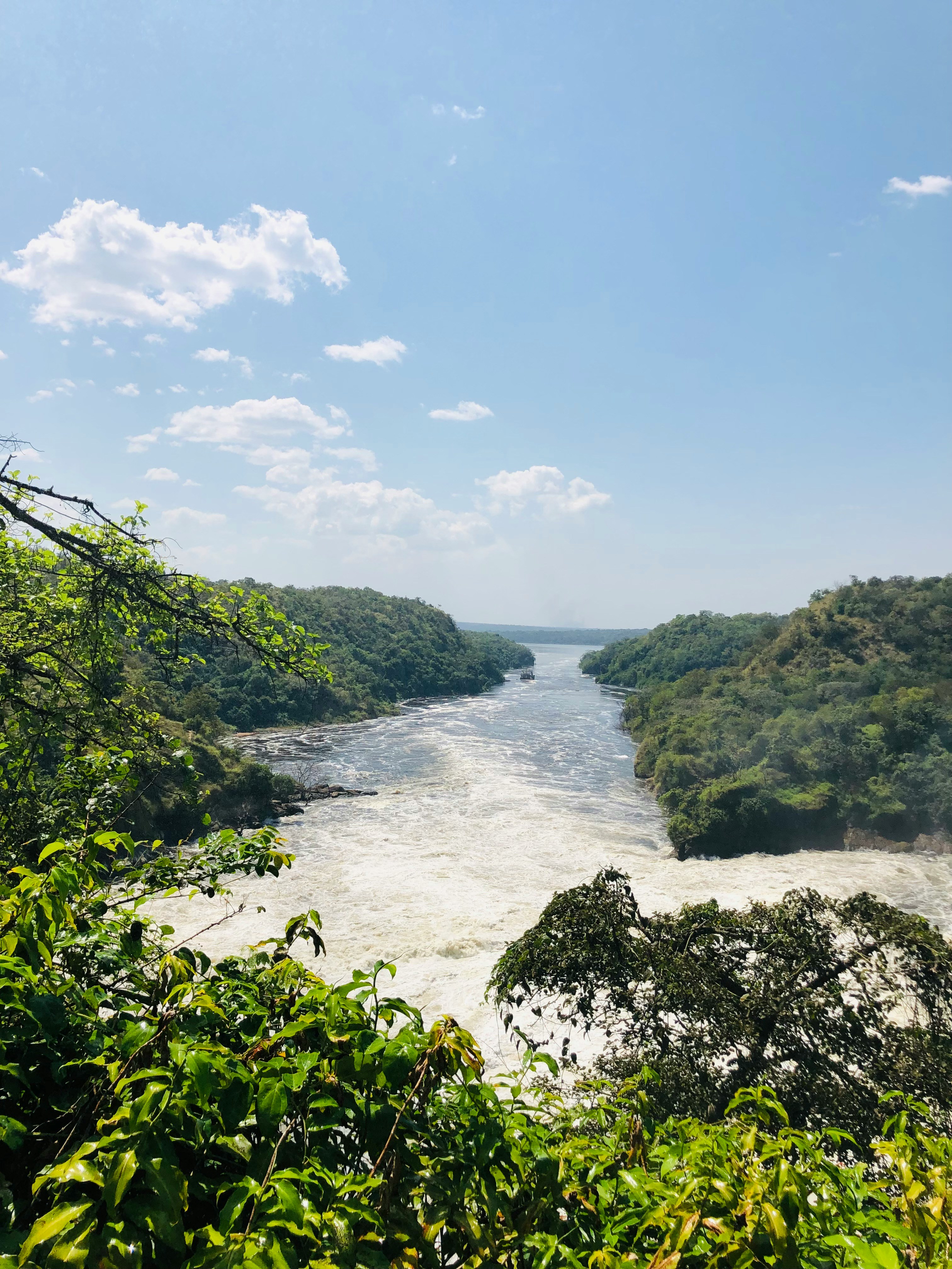 Murchison Falls National Park, photo 6