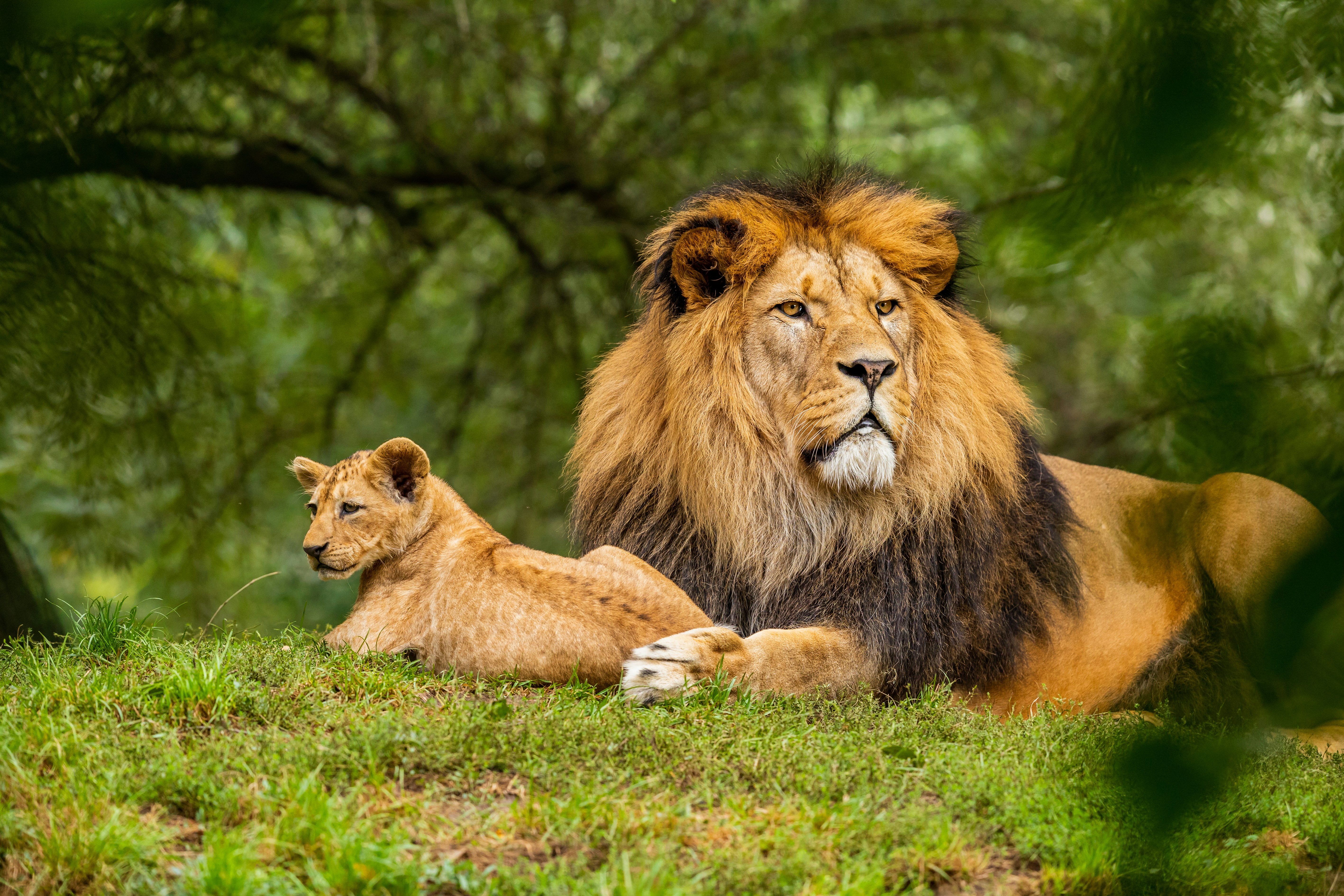 Amboseli National Park, photo 2