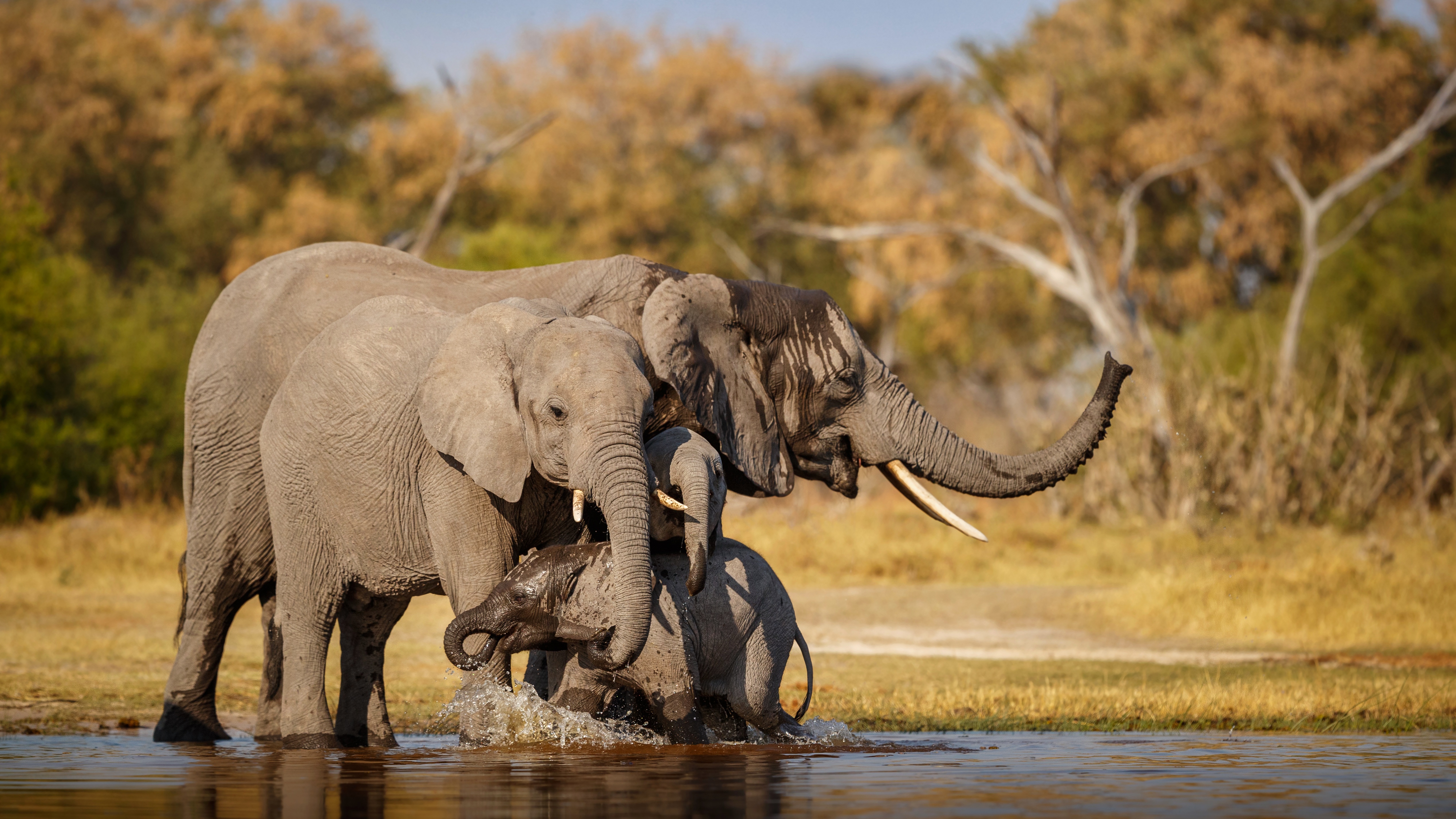 Amboseli National Park, photo 3
