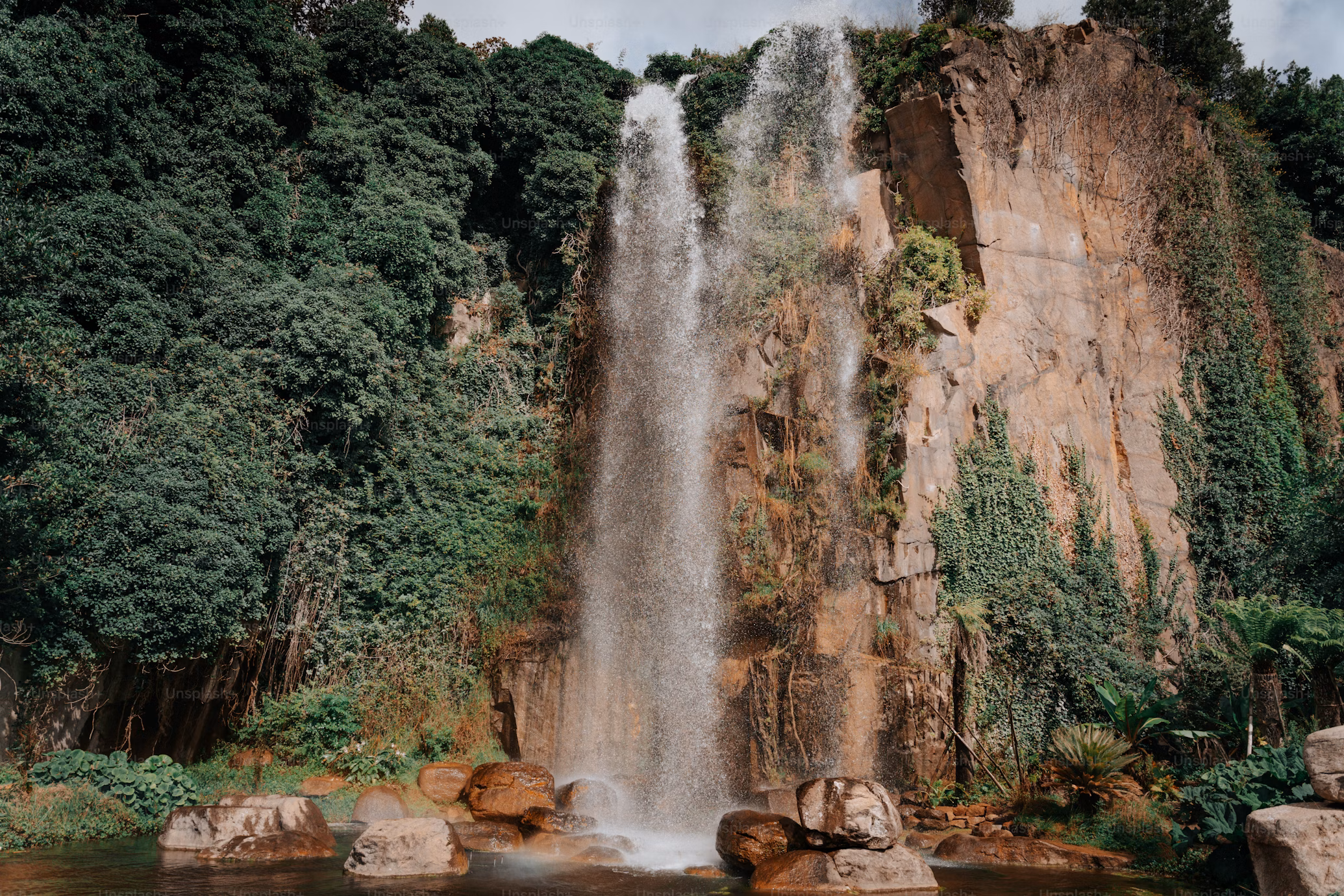 Bwindi Impenetrable National Park, photo 3