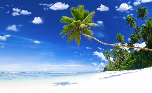 Diani Beach, photo 3