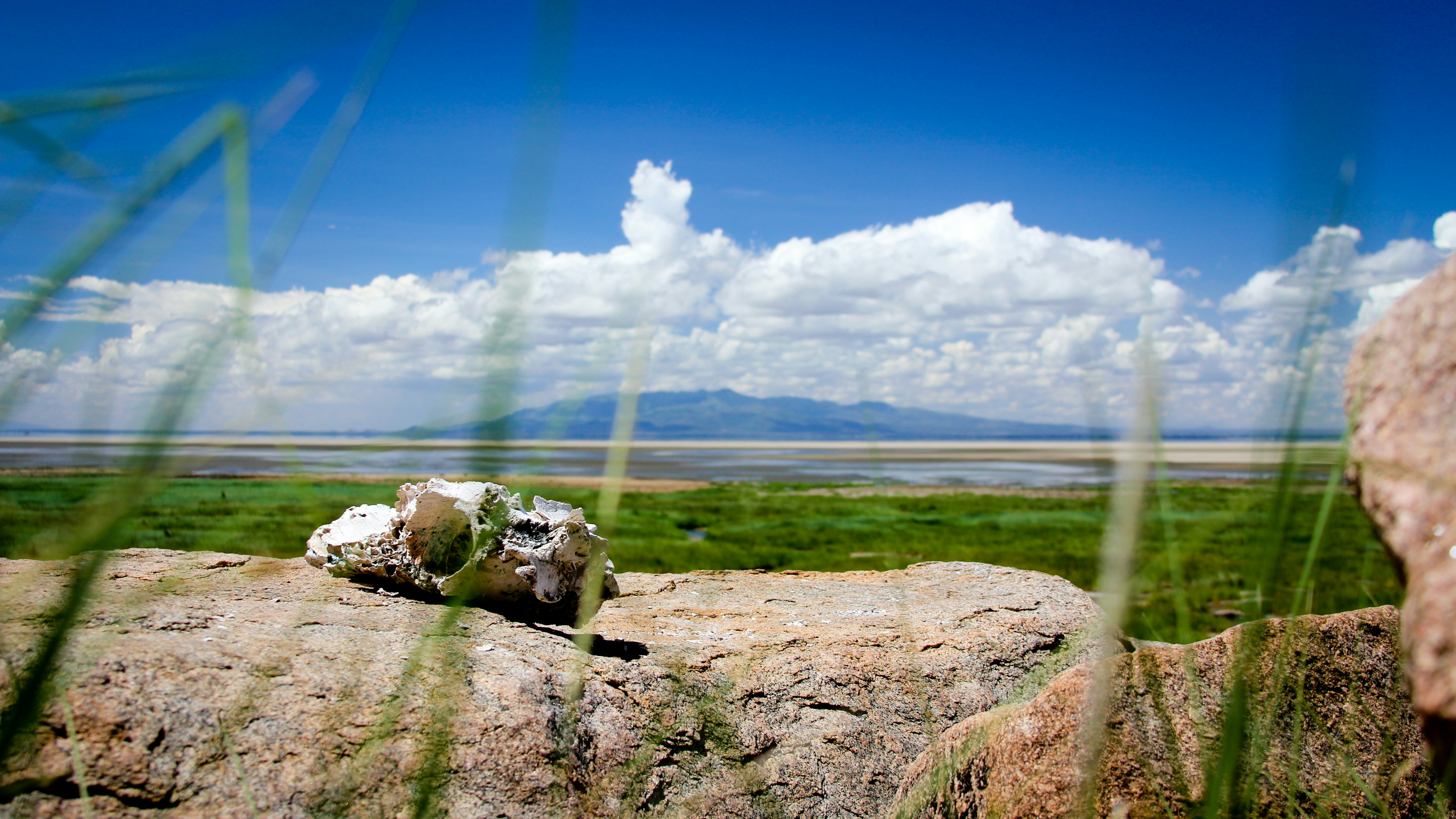 Lake Manyara National Park, photo 4