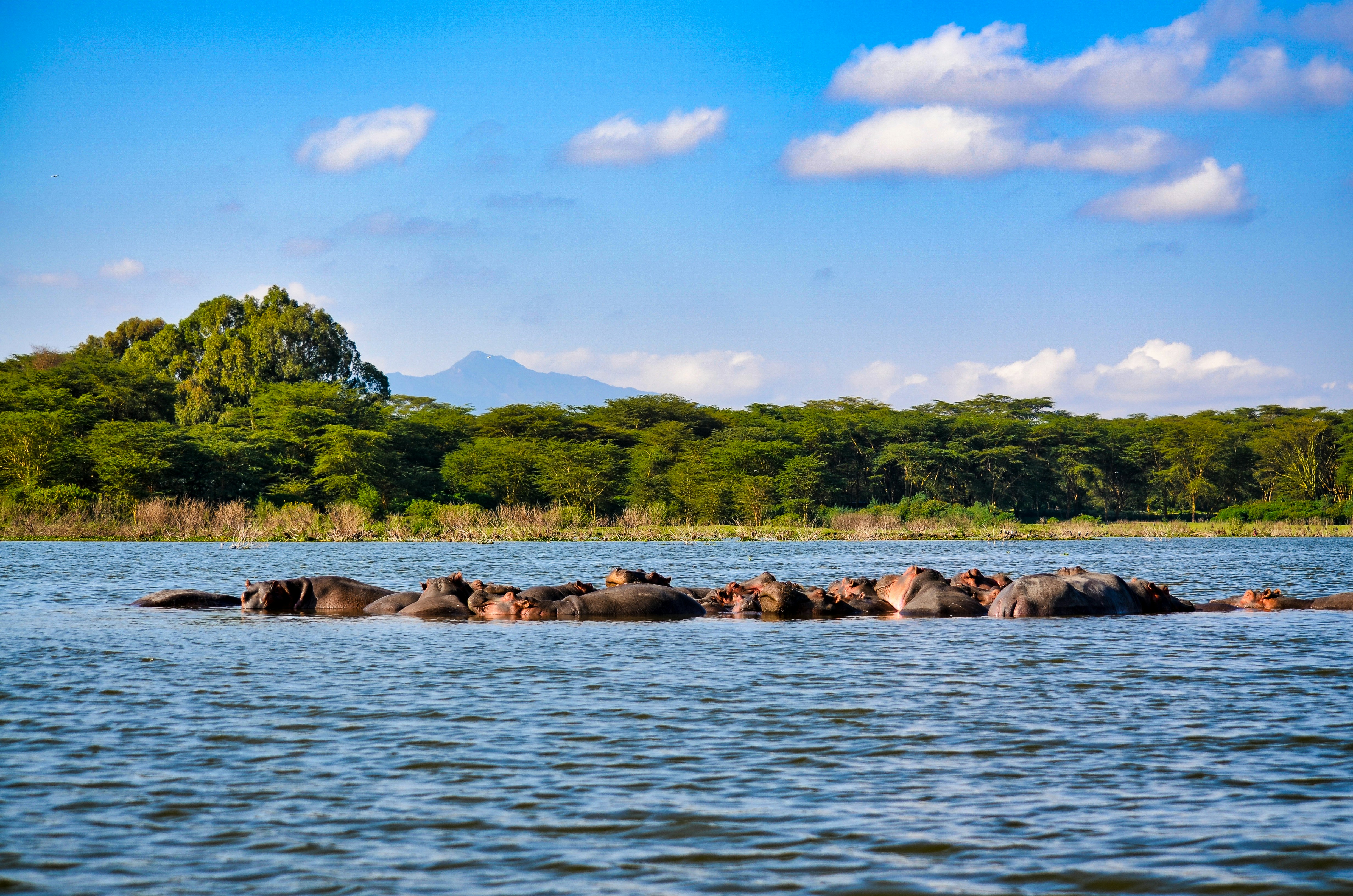 Lake Nakuru National Park, photo 6
