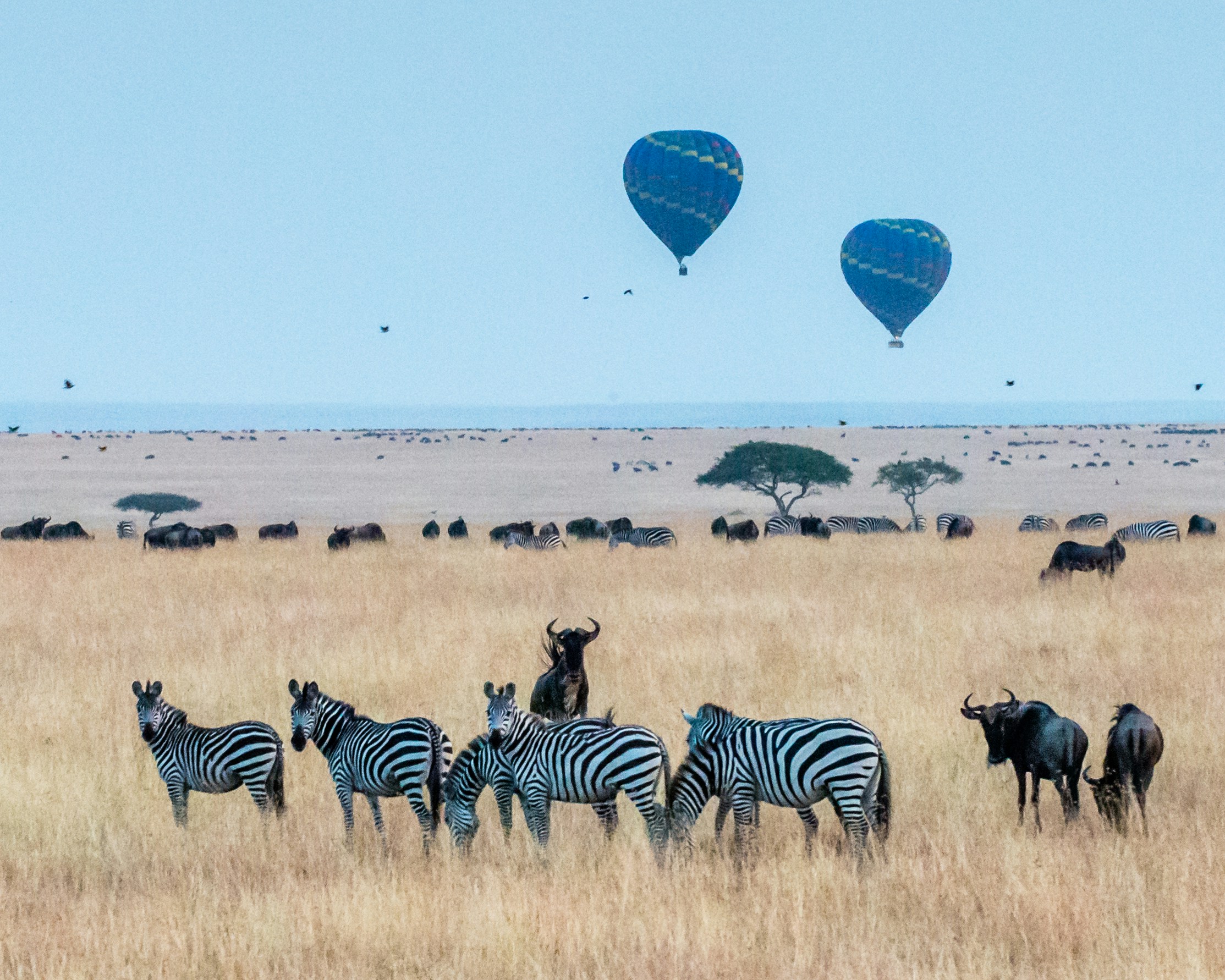 Maasai Mara National Reserve, photo 3