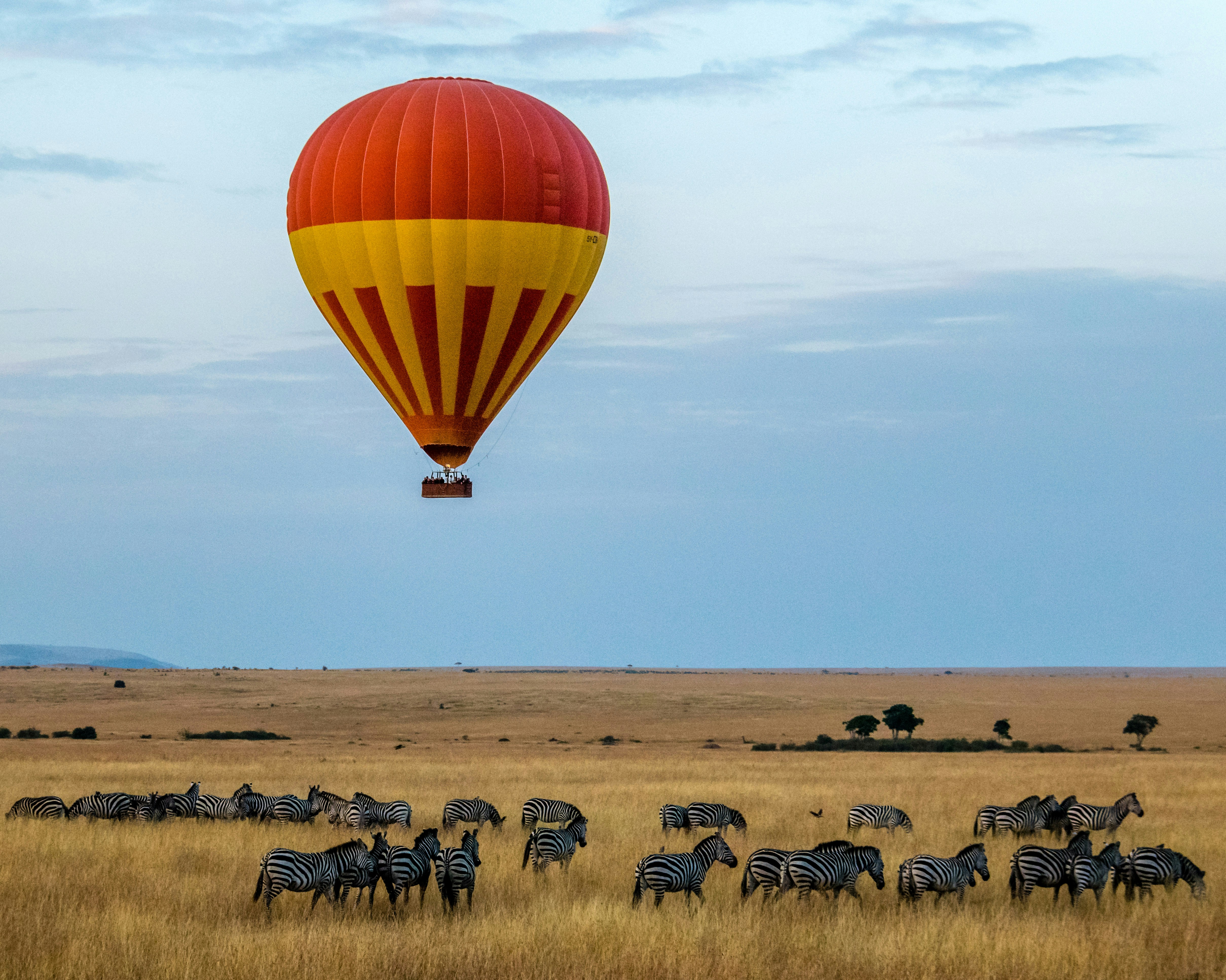 Maasai Mara National Reserve, photo 5