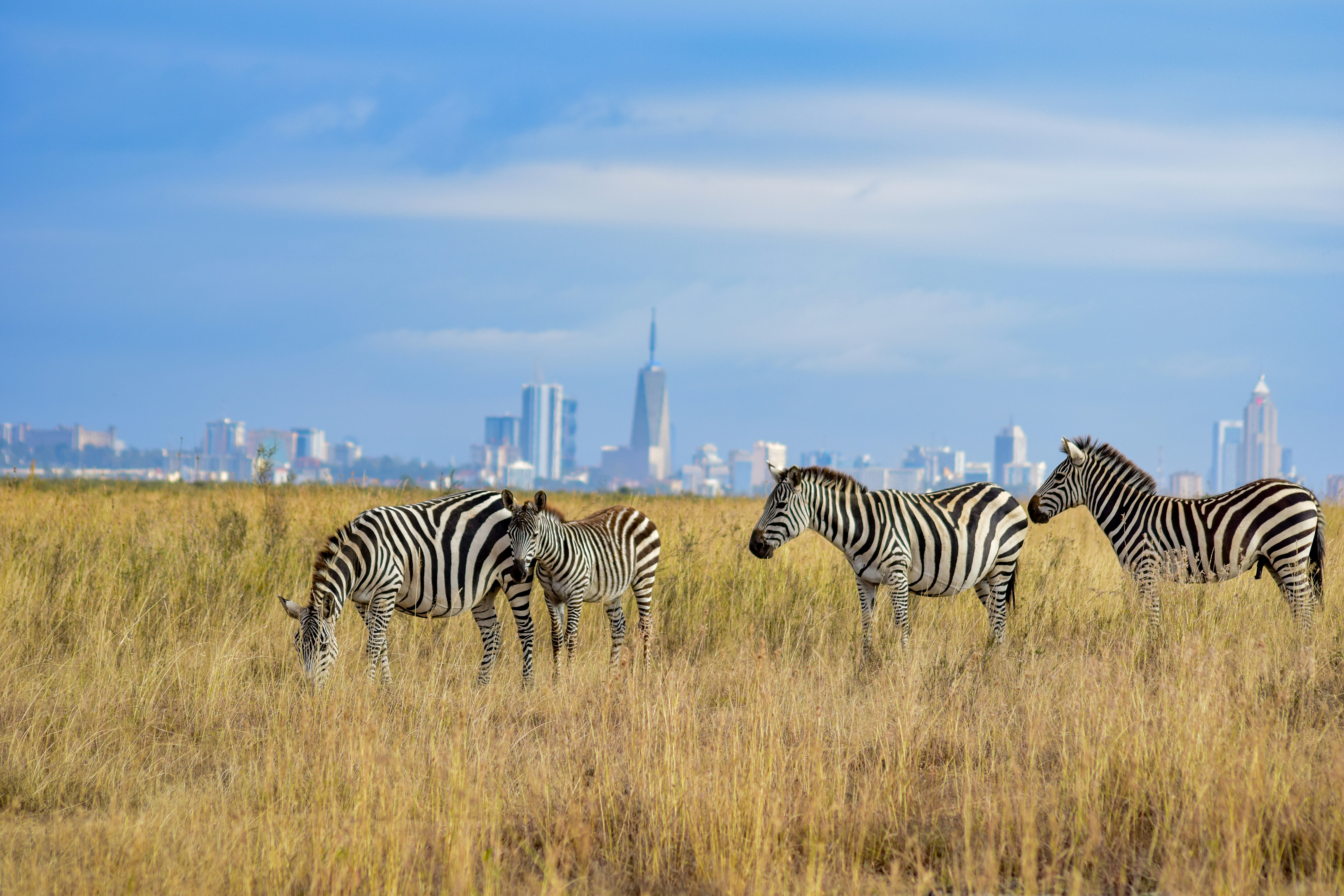 Nairobi National Park, photo 2