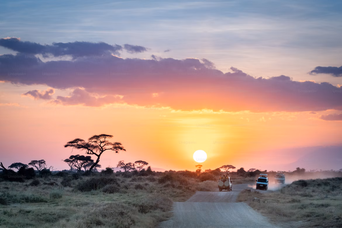 Nairobi National Park, photo 3