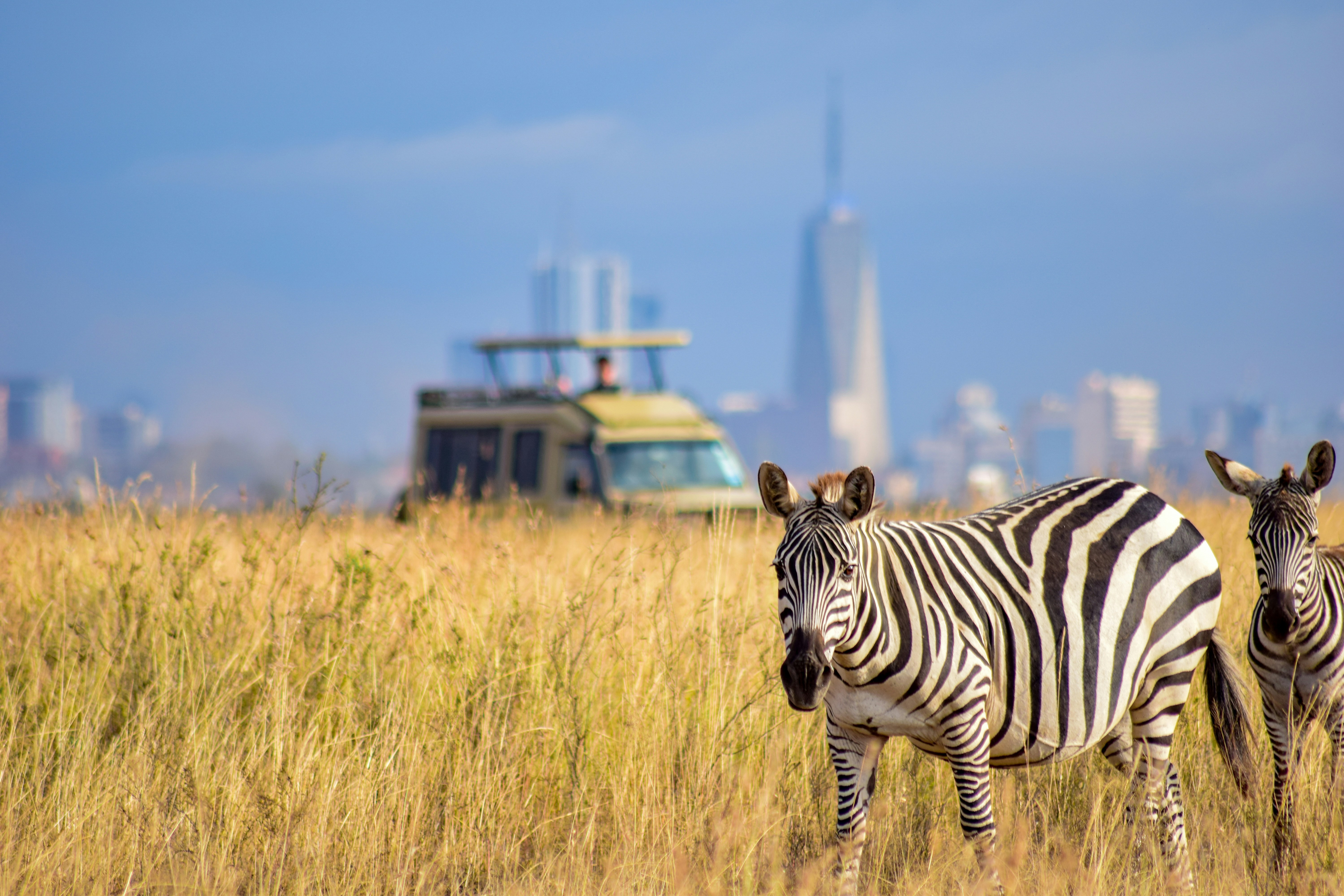 Nairobi National Park, photo 4