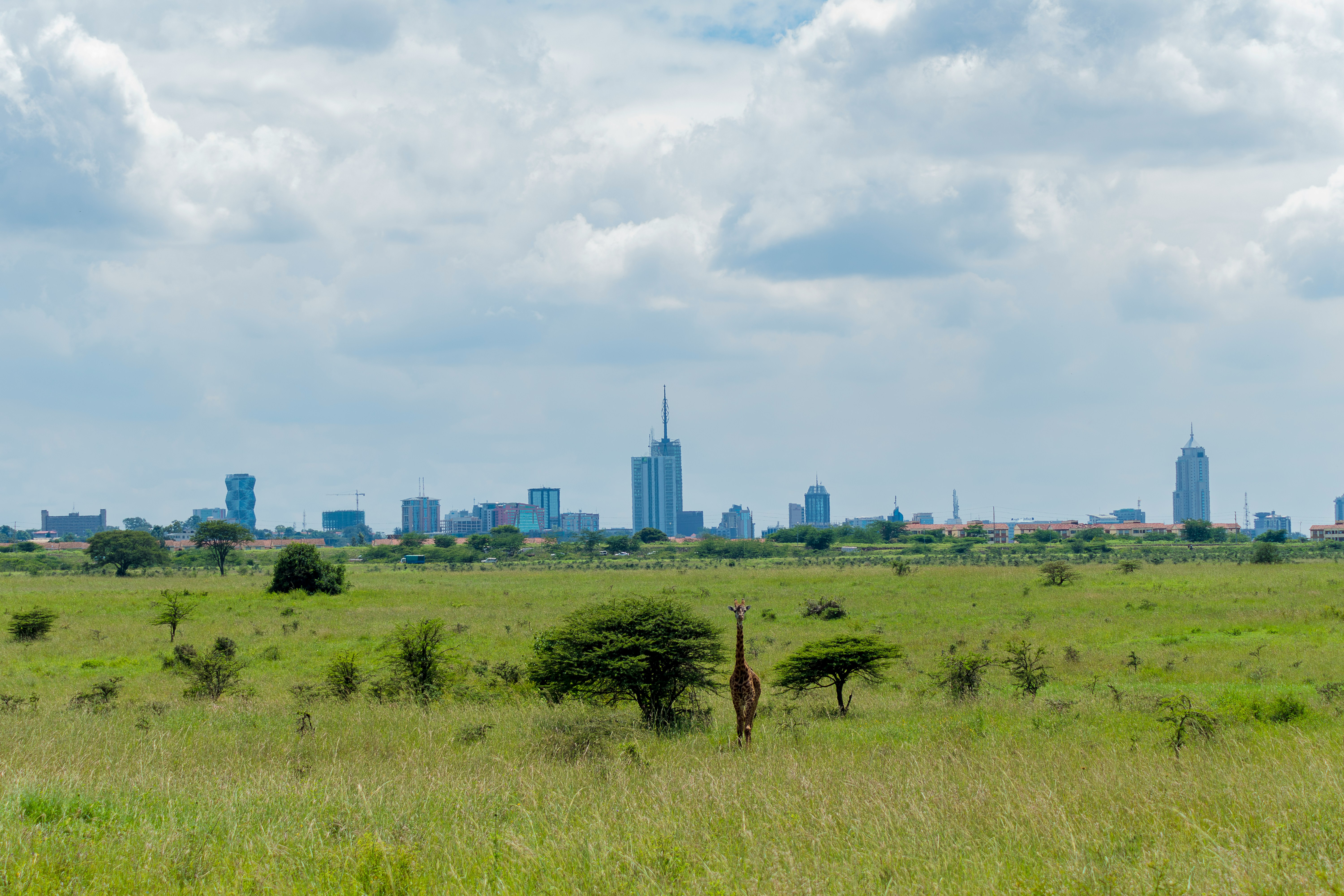 Nairobi National Park, photo 6