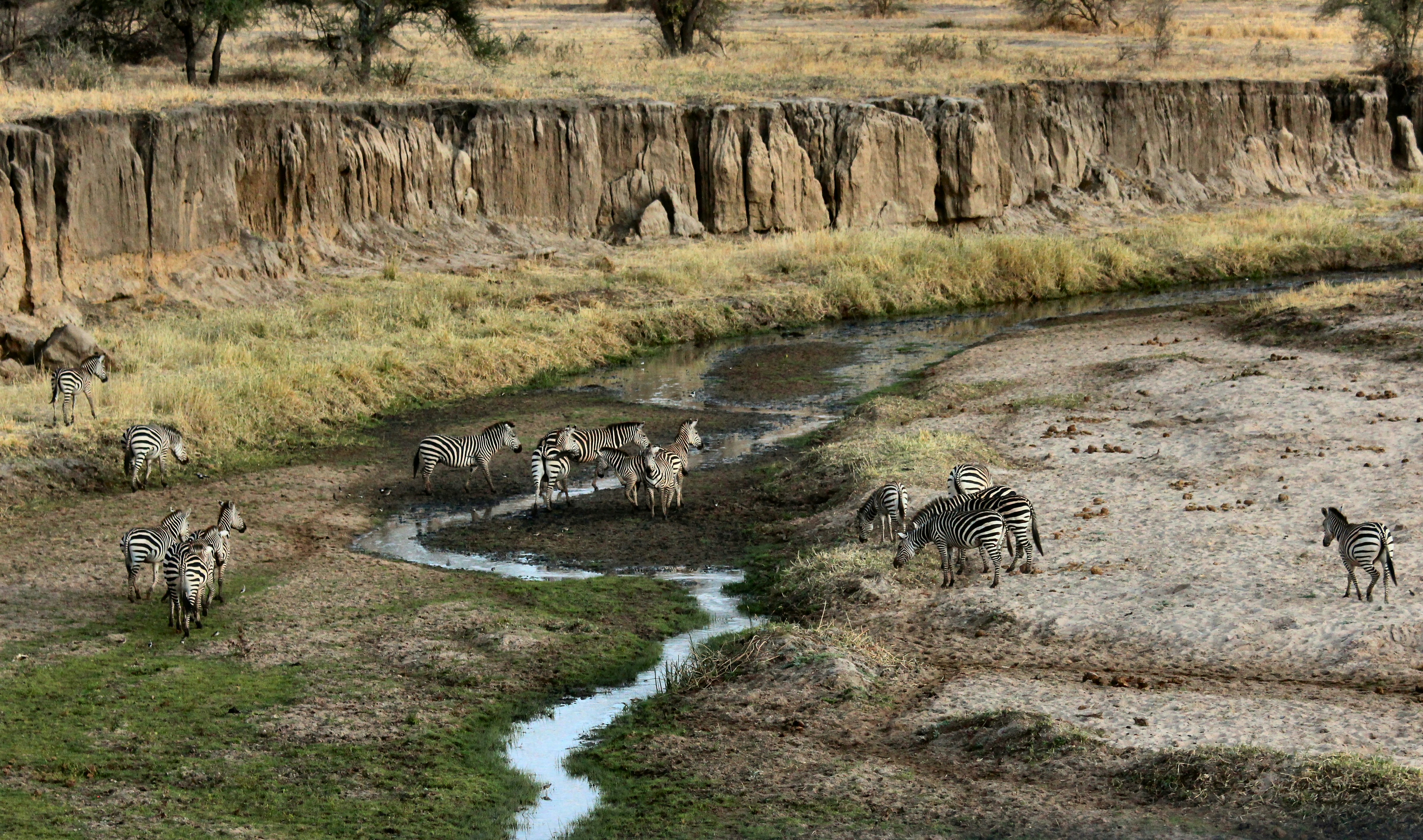 Tarangire National Park, photo 5