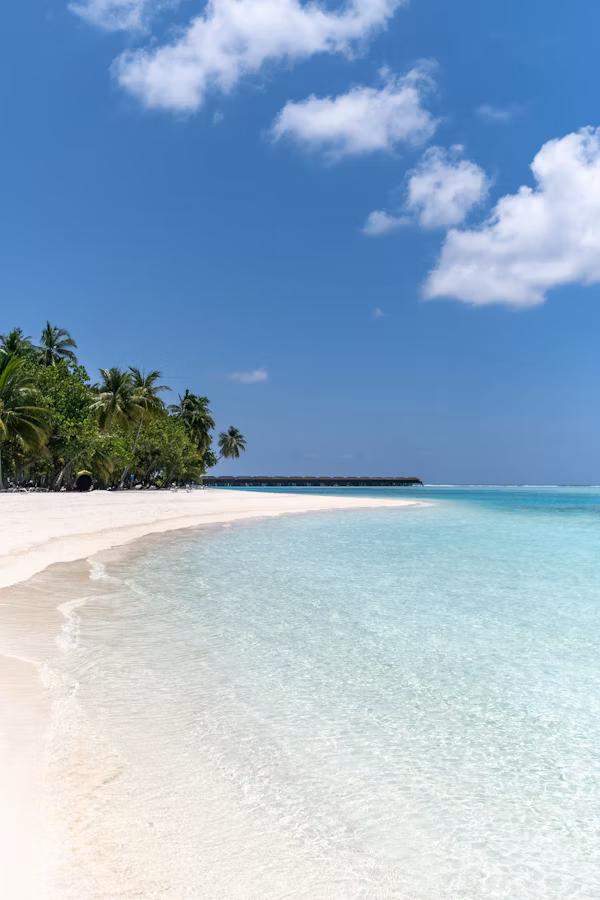 Zanzibar Beach, photo 3