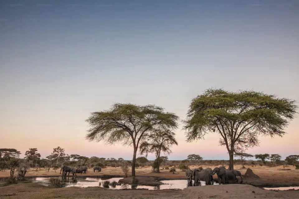 Tsavo West National Park image 1