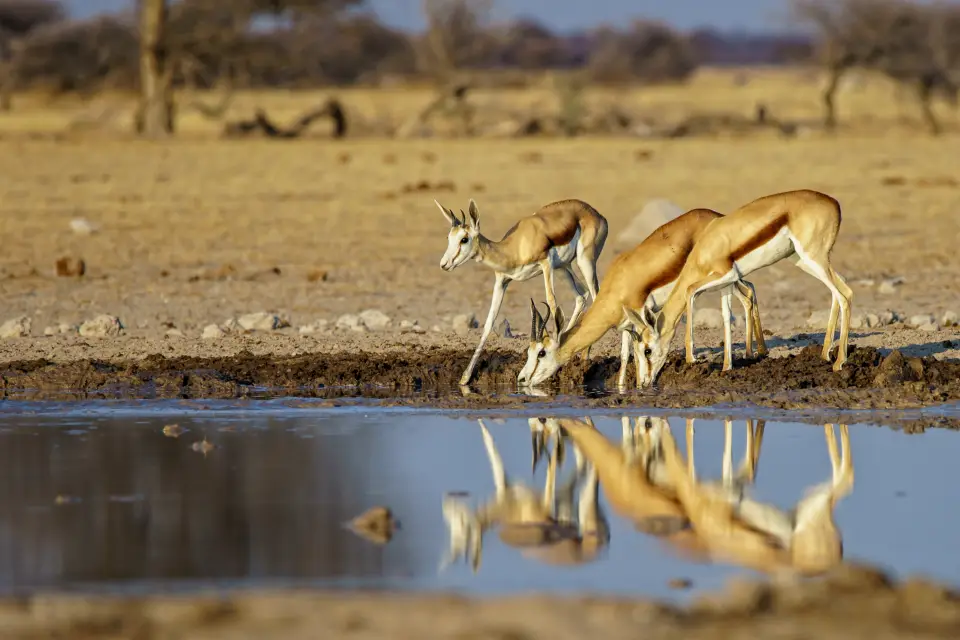 Serengeti National Park image 1