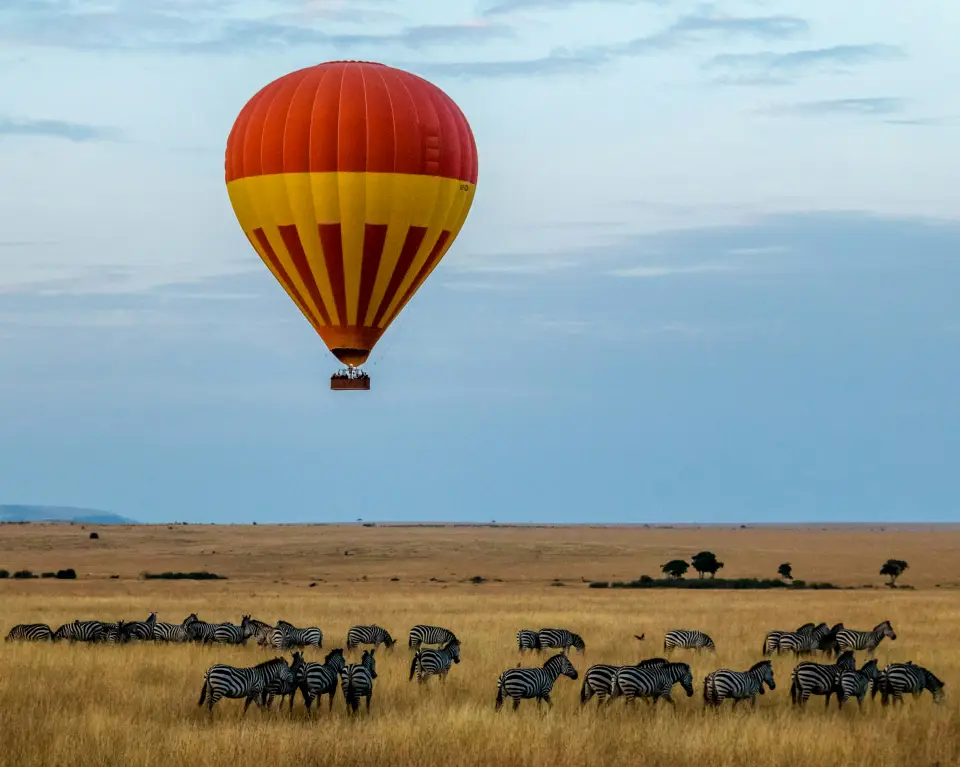 Maasai Mara National Reserve image 5