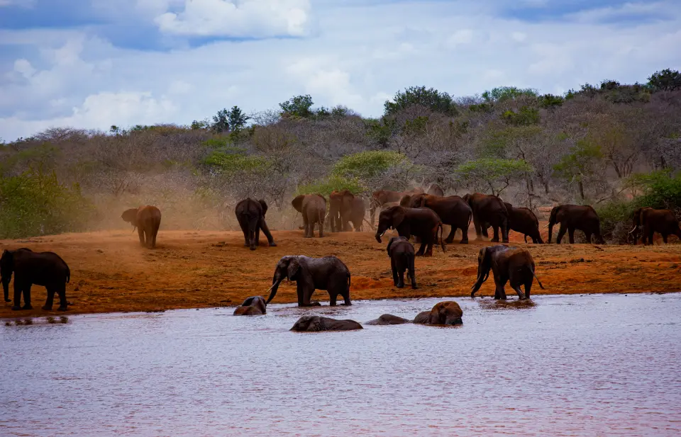 Tsavo East National Park image 2