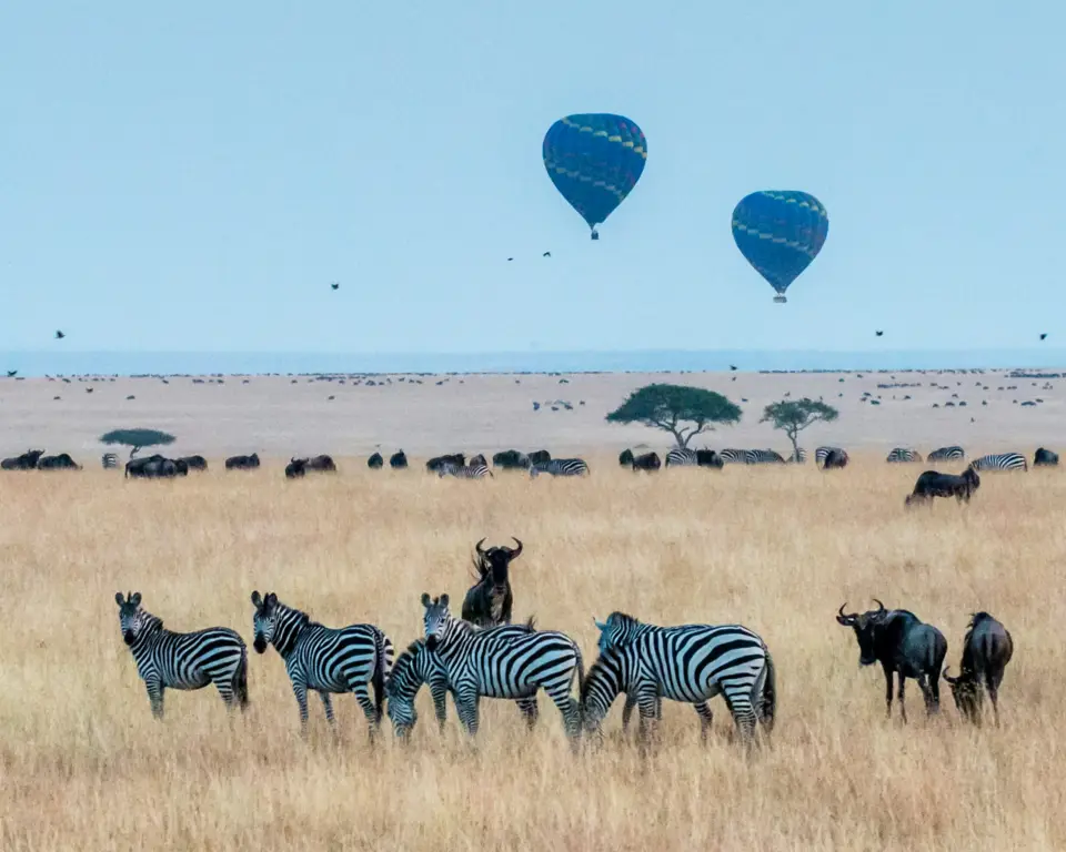 Maasai Mara National Reserve image 3