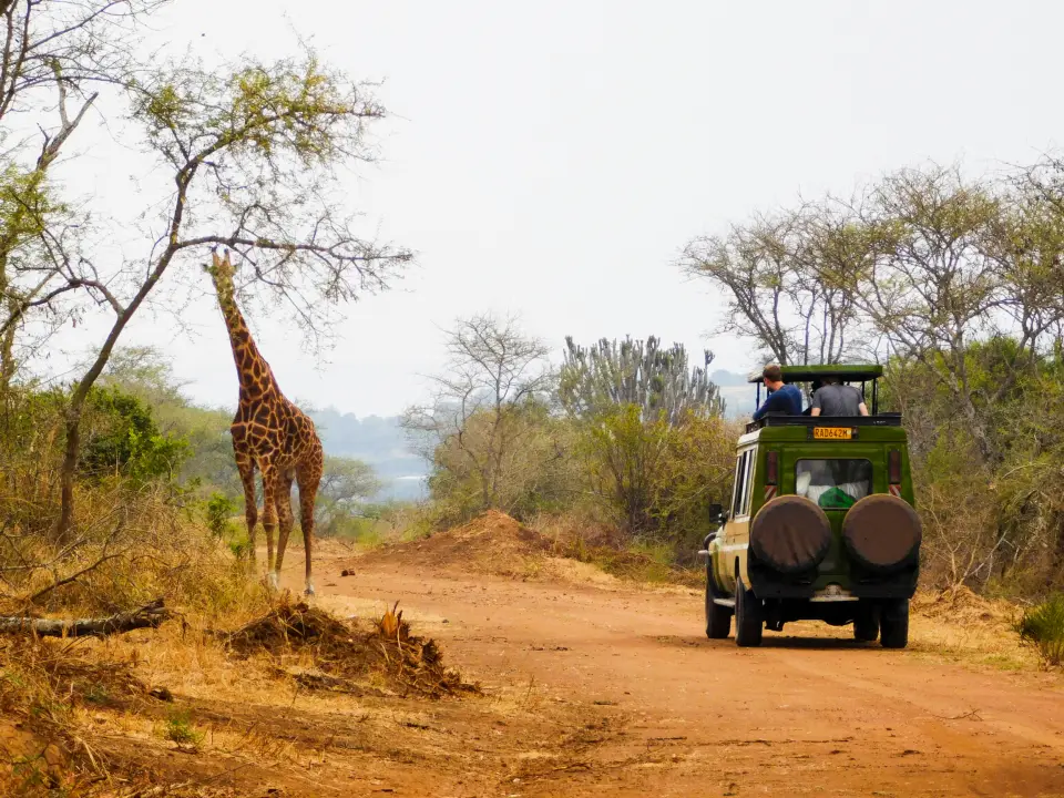 Akagera National Park image 1