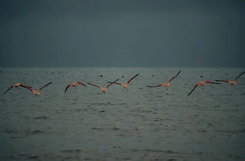 Lake Nakuru National Park image 2