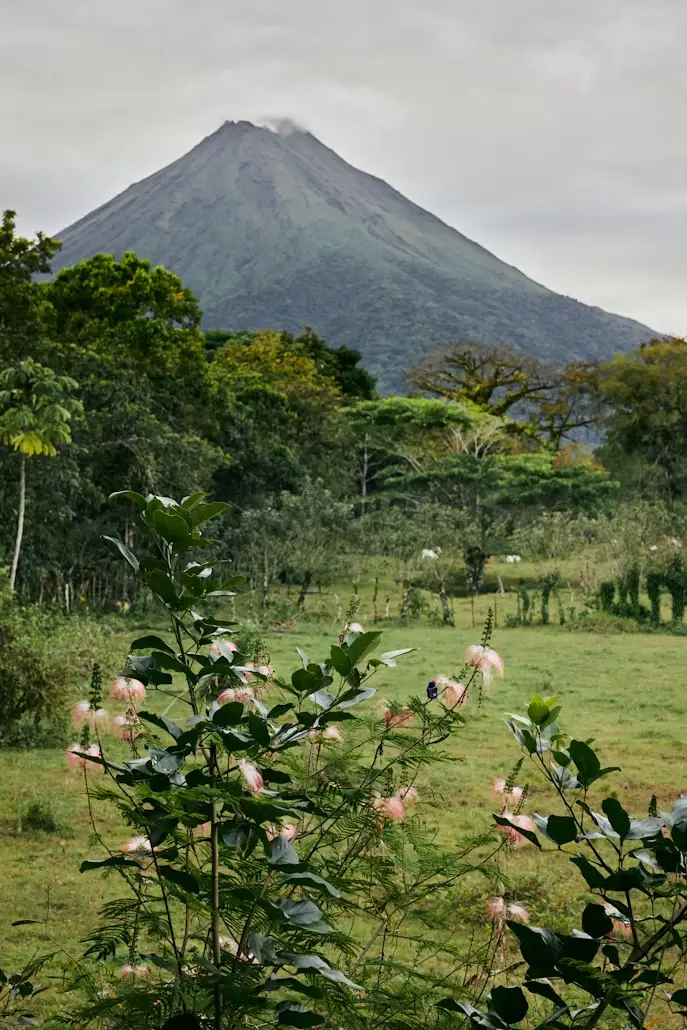 Volcanoes National Park image 3