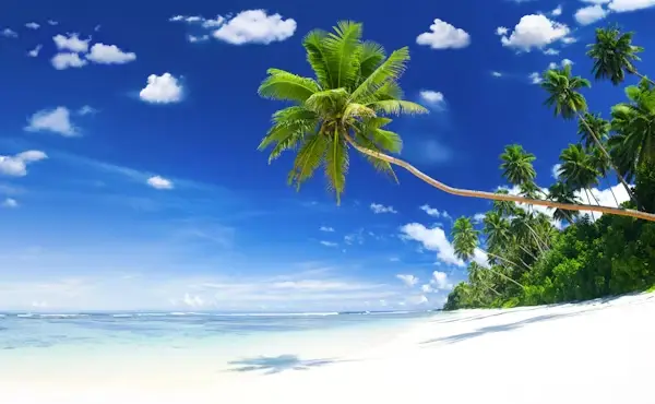 Diani Beach image 3
