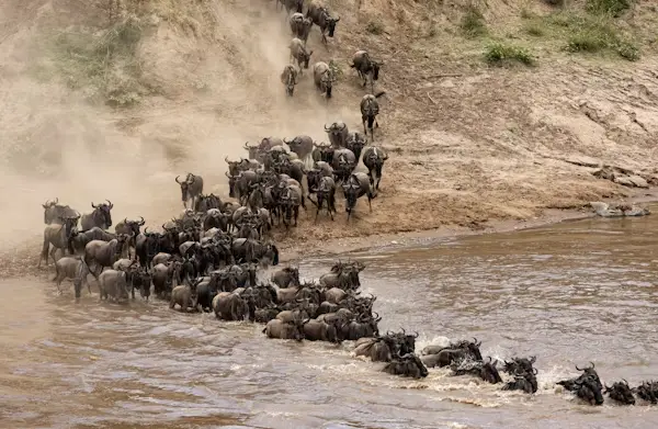 Maasai Mara National Reserve image 2