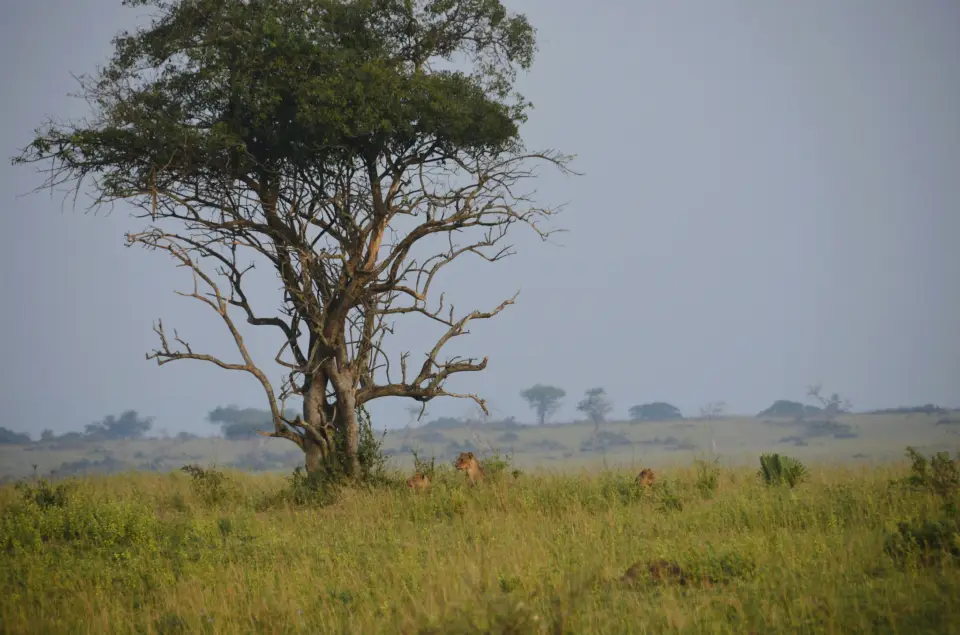 Lake Nakuru National Park image 1