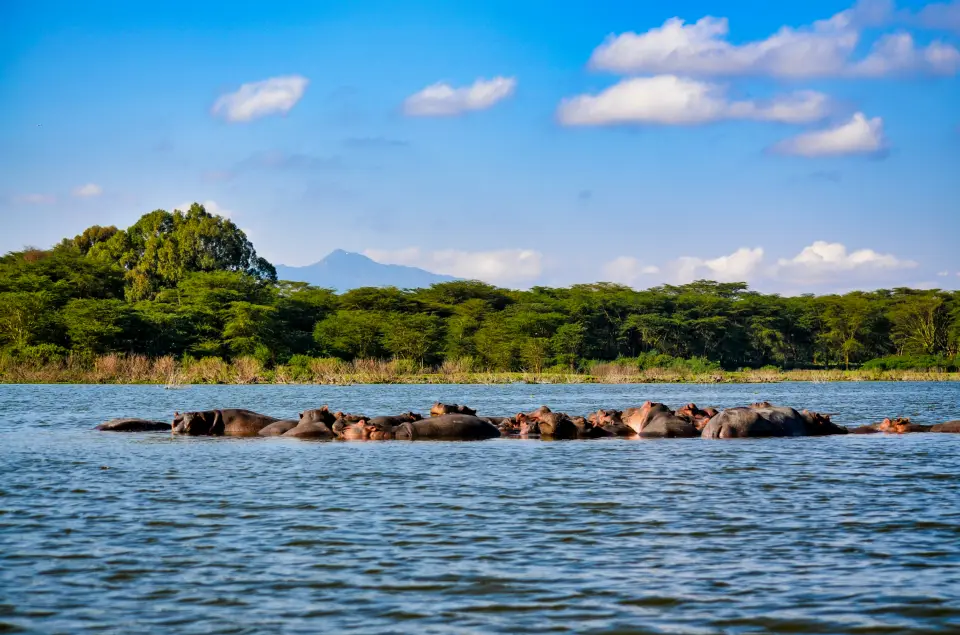 Lake Nakuru National Park image 12