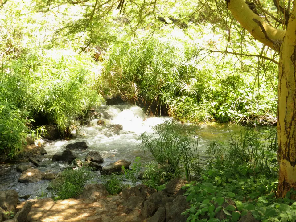 Tsavo West National Park image 2